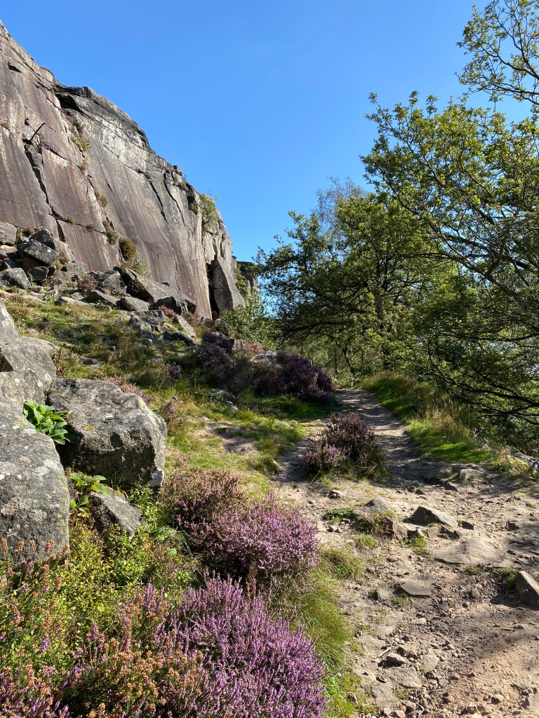 Path up hill to stony cliff.
