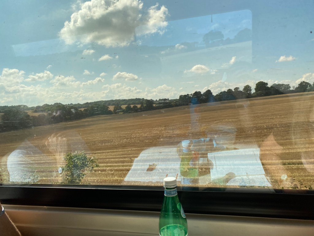 View of field from train window.